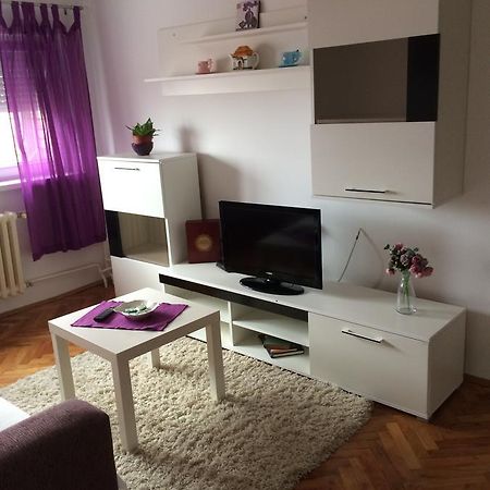 Tami Apartment Novi Sad Dış mekan fotoğraf
