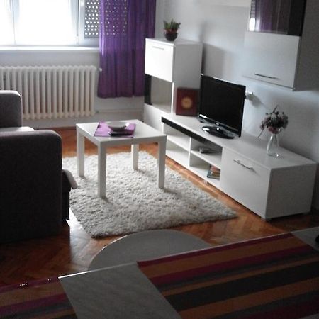 Tami Apartment Novi Sad Dış mekan fotoğraf