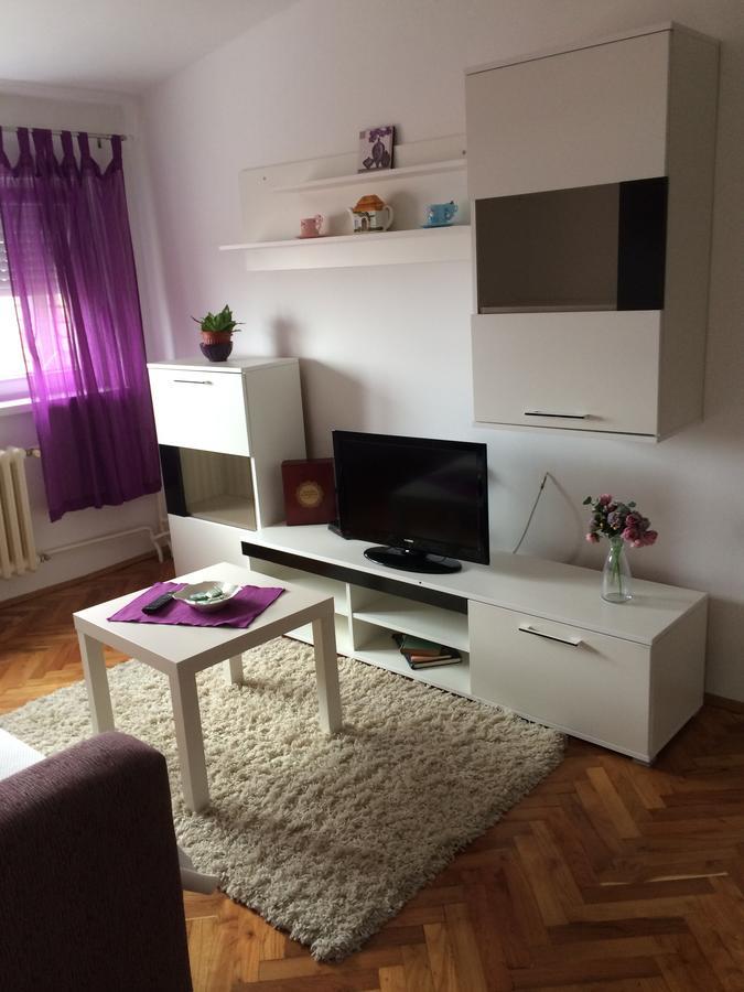 Tami Apartment Novi Sad Dış mekan fotoğraf