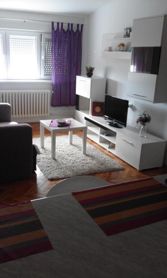 Tami Apartment Novi Sad Dış mekan fotoğraf