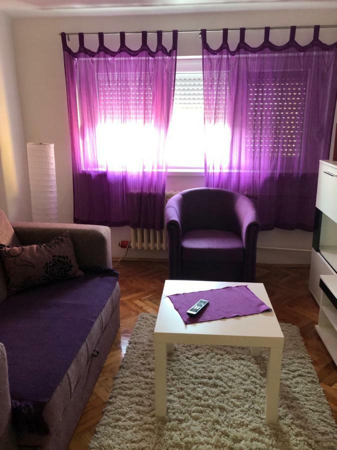 Tami Apartment Novi Sad Dış mekan fotoğraf